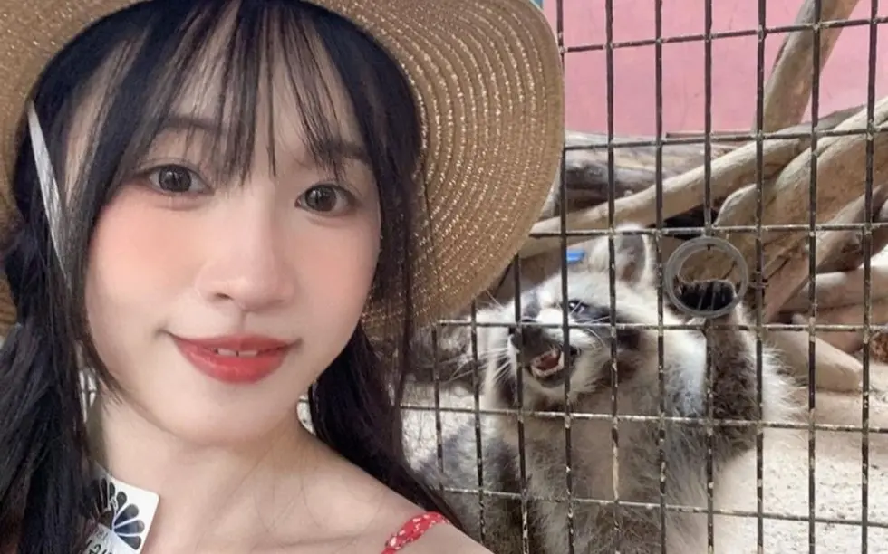 国产女神《苏畅》Vlog视频大全-高清电视剧1080P全集在线观看-无删减版免费观看